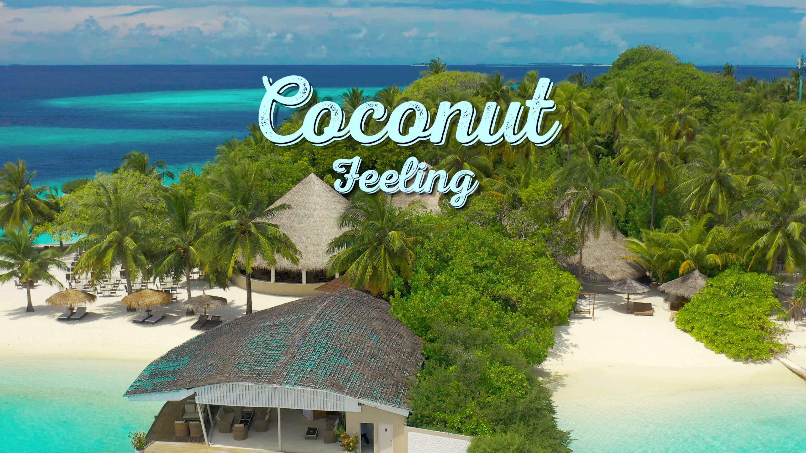 Coconut Feeling